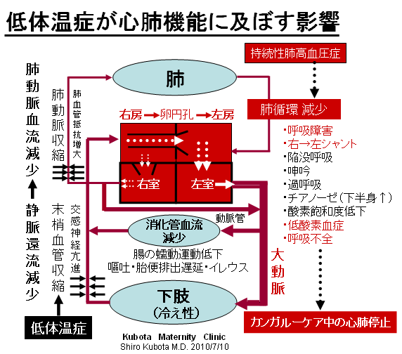 体温 低 血圧 体質改善には低血圧より低体温を改善！低血圧と付き合うコツ？