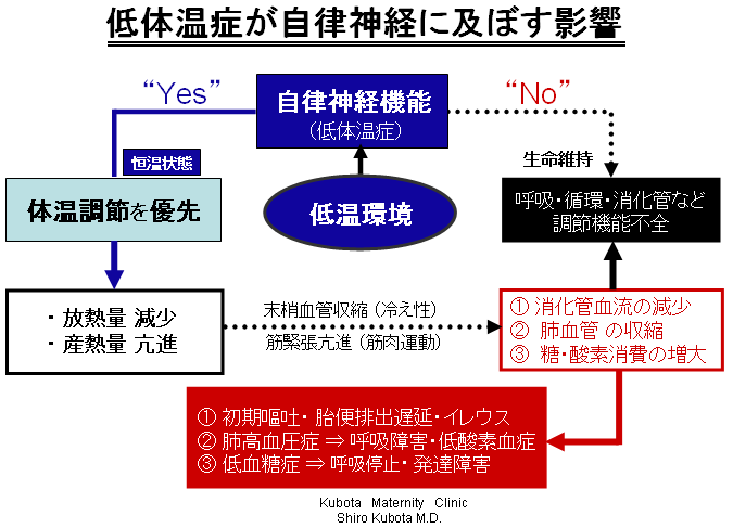 低 血圧 体温