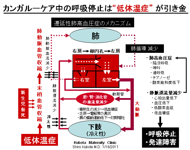 全末梢血管抵抗係数（svri） | 医療計算ツー 