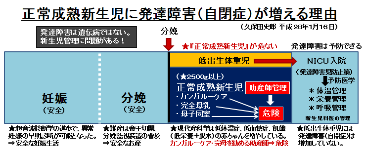 少子化対策の前に、発達障害児防止策を！