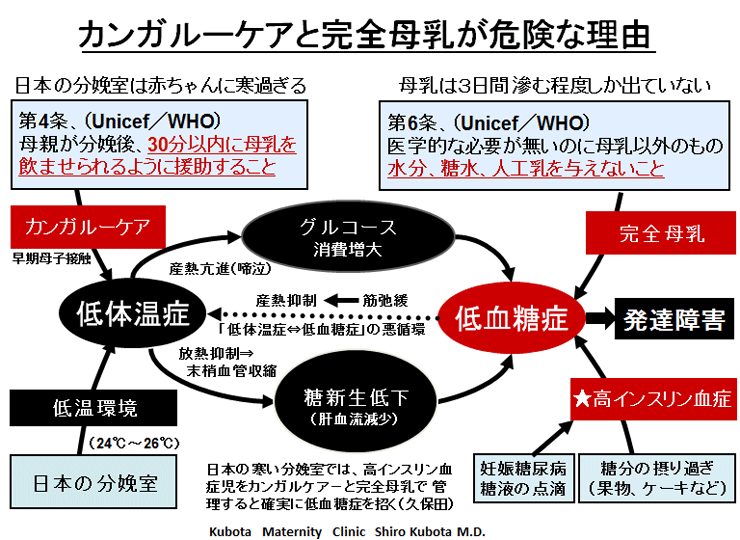 久保田 産婦 人 科 病院 事故