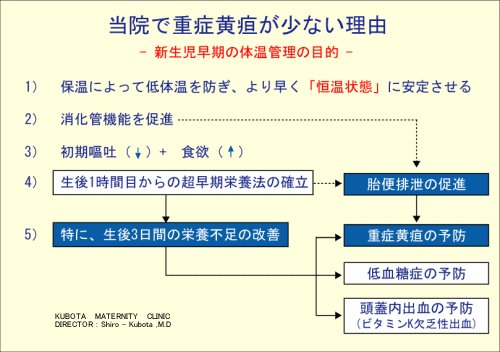 黄疸 の 原因